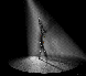 The Dancer (242KB)