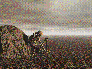 Dry Bones (208KB)
