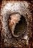 Suppression (121KB)