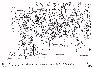 Survey Says (156KB)