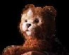 Teddy