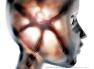 Womb to an Idea (148KB)