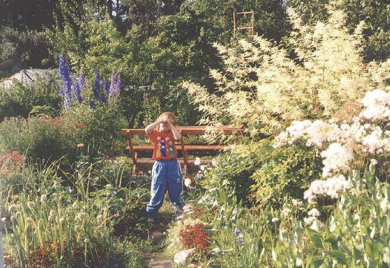 To play about in garden