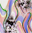 My art gallery