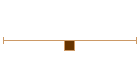 Participants
