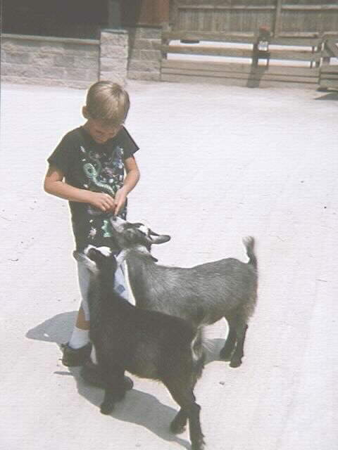 Conner w/ goats