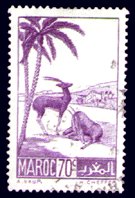 Morocco 1939 