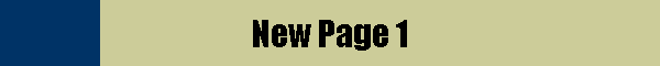 New Page 1