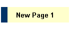 New Page 1