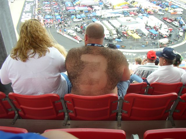 At The Races .jpg