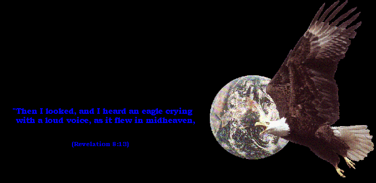 An eagle