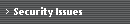 Security Issues