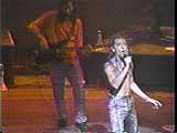 abel y luis