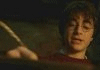 harry.gif