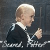 harryndraco