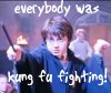 kungfuharry