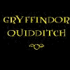 quidditch.gif