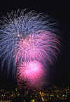 fireworks01.jpg (8496 bytes)