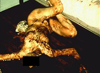 WARNING: Very Evil...death metal, Satan, anarchy, drugs, sodomy, revolution 