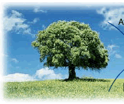 Shaklee: Natural Products in Harmony with Nature.....this is my Mom's biz, so check it out!