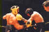 Fight_Pic_05.jpg (21794 bytes)