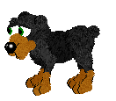Doberman