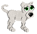 Snow Dane