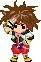 Sora