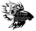 betta logo