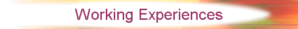 Working Experiences