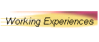 Working Experiences