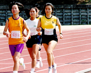 run.jpg (43673 bytes)
