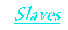 slave