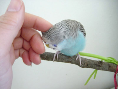 scratch head!