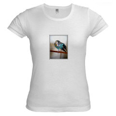 Turkey shirt!