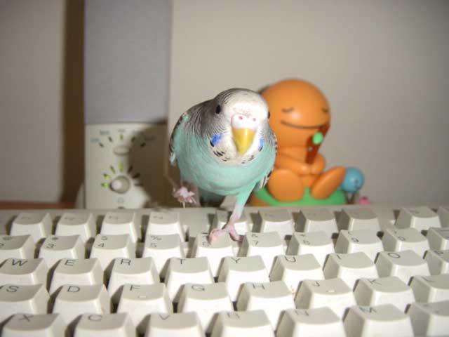 type