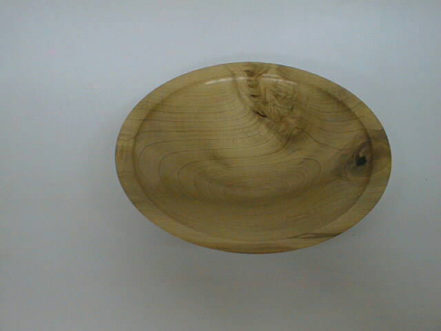 MAG10Dish1.jpg (19137 bytes)