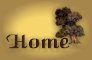 Back to The Lilbourn church of Christ Website!