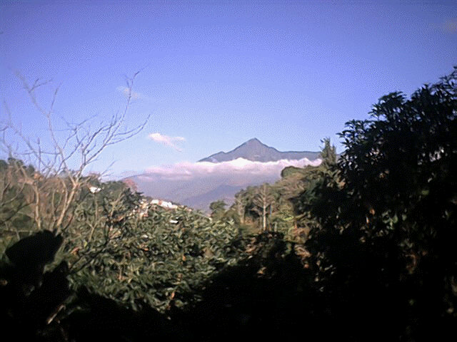 Parque nacional EL AVILA