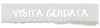 VISITA GUIDATA