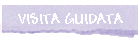 VISITA GUIDATA