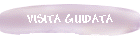 VISITA GUIDATA