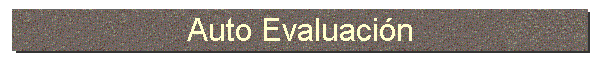 Auto Evaluacin