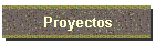 Proyectos