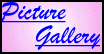 Picture Gallery