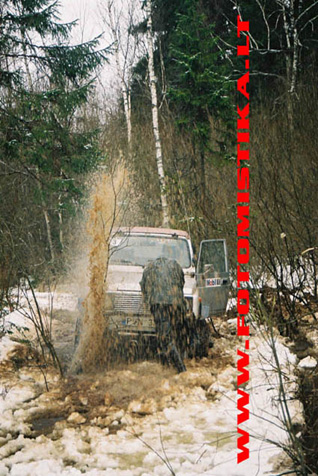 A31