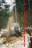 A31