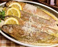 Trout