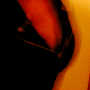 mon_0411.jpg