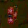 mon_519.jpg